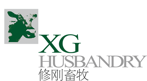 1488878204312107.png 修剛LOGO源文件.png